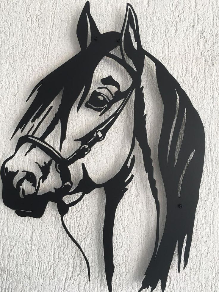 Animal Wall Art